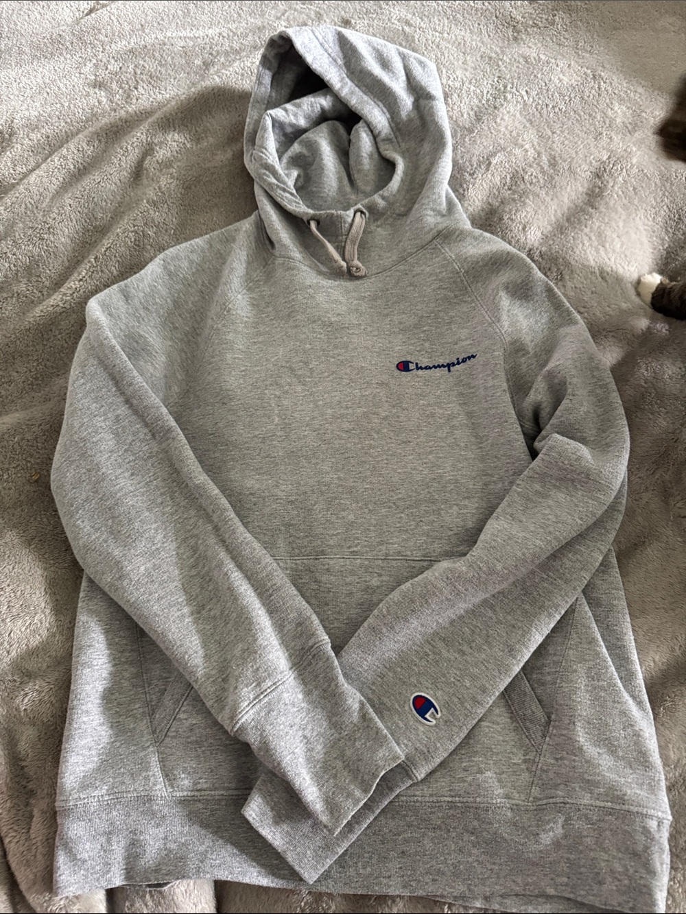 Champion Gray Pullover Hoodie with Script Logo